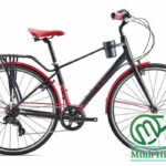 Xe đạp touring Giant Ineed mocha LTD