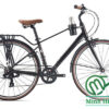 Xe đạp touring Giant Ineed mocha LTD