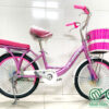 Xe đạp ráp mini N20-1/72