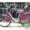 Xe đạp ráp mini N24-36
