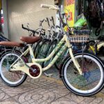 Xe đạp trẻ em Panch 20inch