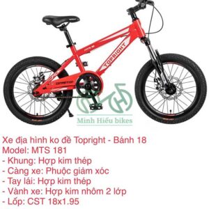 Xe đạp trẻ em Topright MTS 181 - 18inch